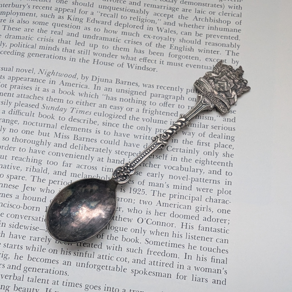 Elegant Silver Decorative Spoon Trinidad